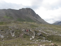 Wilcox Pass